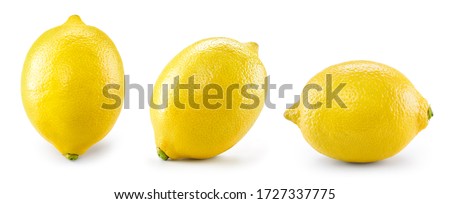 Lemon isolate on white. Lemons side view on white. Whole lemon. Set of lemon fruit.