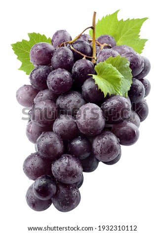 Black grape isolate. Black grape with leaves on white background. Blue grapes isolated on white. Clipping path. Full depth of field. 商業照片 © 