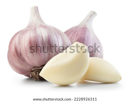 Garlic bulb and clove isolated. Garlic bulbs with cloves on white background. Garlic bulb composition. With clipping path. Full depth of field. Сток-фото © 