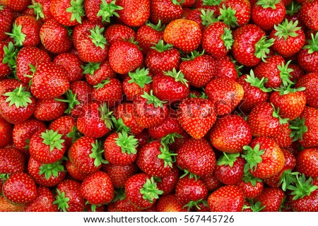 Similar – Image, Stock Photo Fresh Organic Strawberries and Apples Floating in a Tub of Water