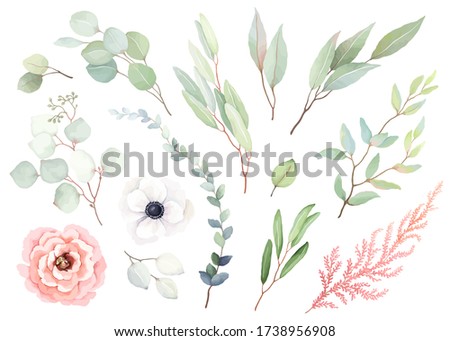 Set of flowers rose and white anemone, leaves and branches in vintage watercolor style. Vector floral illustration for design wedding card, invitation, greeting card, wrapping paper.