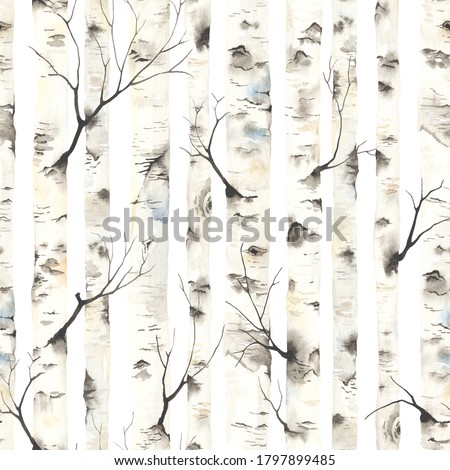 Similar – Image, Stock Photo Group of birch trees with classic structure and colouring of the bark