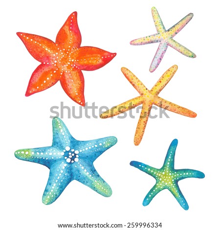 Collection of starfish watercolor, vector illustration.