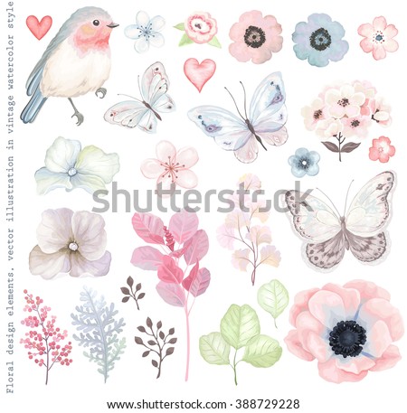 Collection vector flowers, Robin bird, butterflies, branches and leaves in vintage watercolor style.