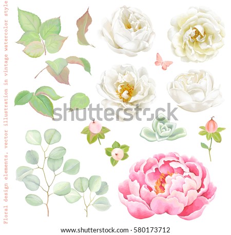 Floral set with white Roses, pink Peony, green leaves and Succulent, branches Silver Dollar Eucalyptus, Hypericum Berries and flying butterfly. Elegant vector illustration in romantic style.