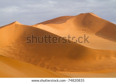 Impressive red sand dunes of the Namib Desert