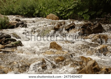 Similar – Image, Stock Photo Foamy mountain stream flowing through stones in sunlight