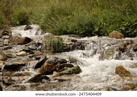 Similar – Image, Stock Photo Foamy mountain stream flowing through stones in sunlight