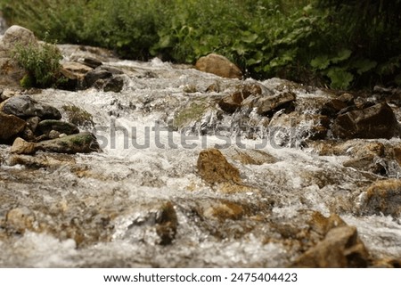 Similar – Image, Stock Photo Foamy mountain stream flowing through stones in sunlight