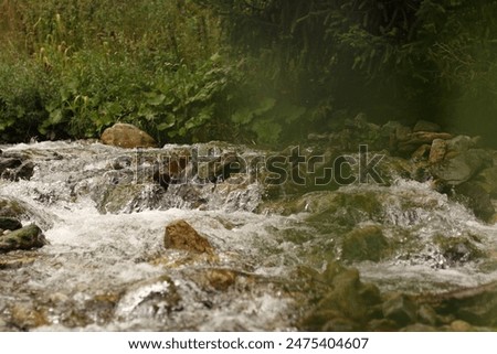 Similar – Image, Stock Photo Foamy mountain stream flowing through stones in sunlight