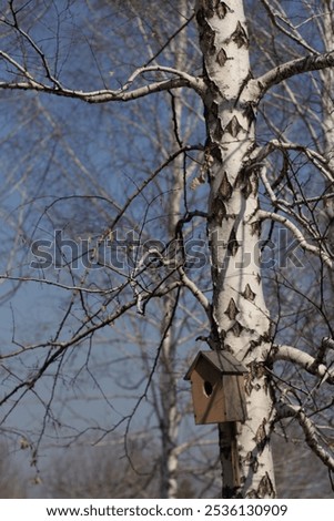 Similar – Image, Stock Photo Roofs without birds roofs