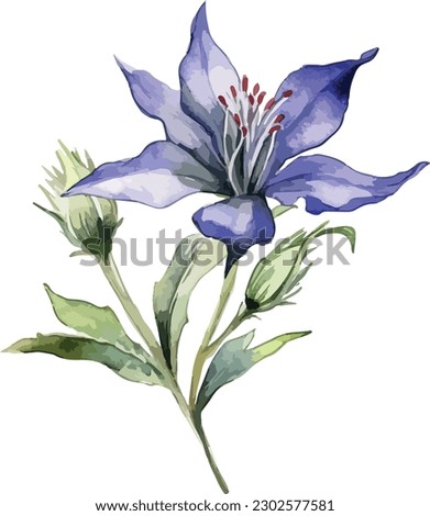 Gentiana flower clipart, isolated vector illustration.