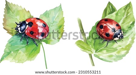 Ladybug clipart, isolated vector illustration.