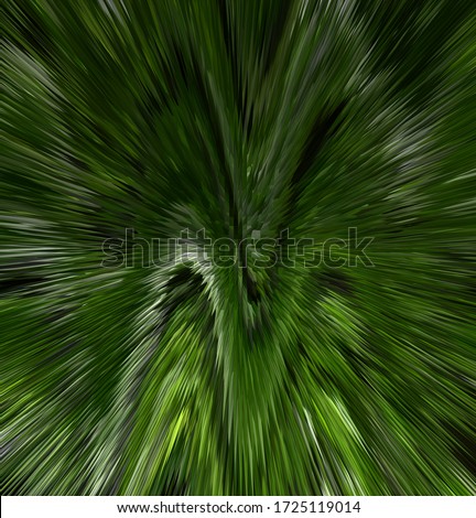 Abstract Forest Elves Wallpaper. 3D illustration Stok fotoğraf © 