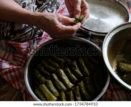 Woman preparing traditional food with stuffed grape leaves  Stok fotoğraf © 