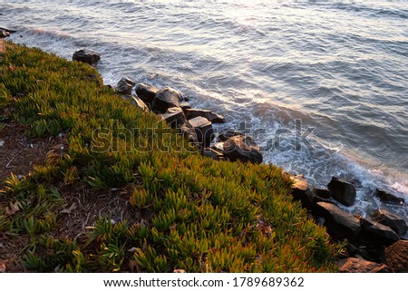 Rocks and waves view in Aegean Sea Stok fotoğraf © 