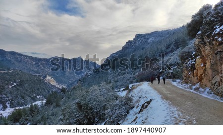 Beautiful rural road view in winter Stok fotoğraf © 