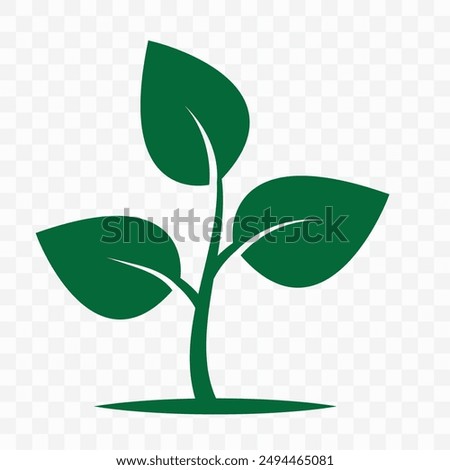 Green Seedling, tree with leaves vector. Seedling icon, vector. Green leafy sapling icon, symbol. Ecology icon, Small tree vector illustration.