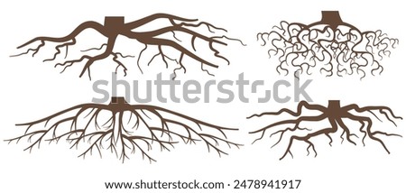 Various brown tree or shrub roots. Parts of plant, root system with tree stump. Dendrology, study of woody plants. Sketch drawing. Vector illustration. eps 10