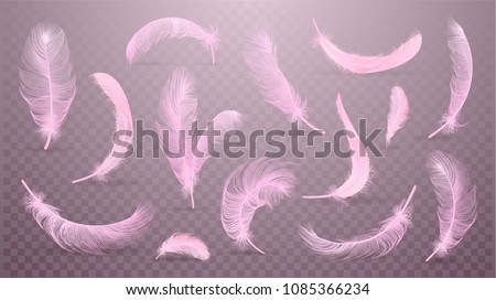 	
Vector pink feathers collection, set of different falling fluffy twirled feathers, isolated on background. Realistic style, vector 3d illustration.