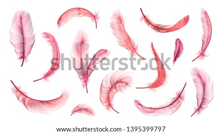 Vector pink feathers collection, flamingo feathers set of different falling fluffy twirled feathers, isolated on white, transparent background. Realistic style, colorful vector 3d illustration.