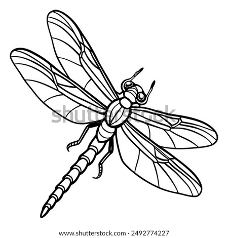 Dragonfly vector illustration. Black contour drawing. Dragonfly in flight hand drawn.