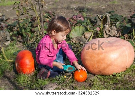 little girl plays with a pumpkin in the garden