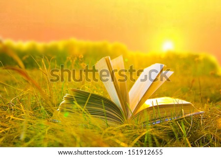 opened book with landscape - lying on yellow grass on sunset Idea of  Knowledge Day and the 1st or first of September Copy space for inscription
