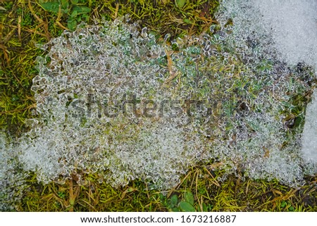 Similar – Foto Bild Frühling trifft Winter, Frühlingsheide mit Neuschnee bedeckt, Österreich