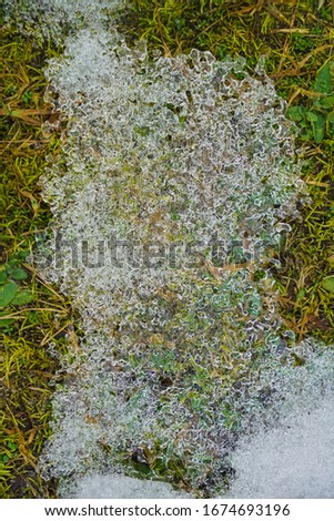 Similar – Foto Bild Frühling trifft Winter, Frühlingsheide mit Neuschnee bedeckt, Österreich