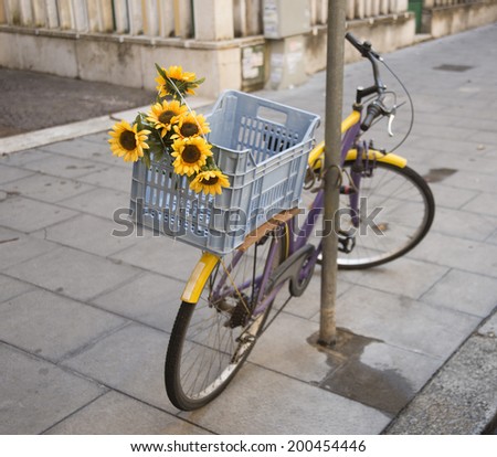 yellow flower - sunflower on a decorative old retro vintage violet painted bicycle on european street on fence background