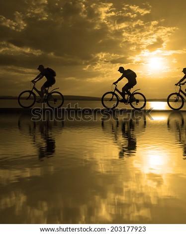 Image of sporty company friends on bicycles outdoors against sunset. Silhouette A lot phases of motion of a single cyclist along the shoreline coast copy Space for inscription Reflection on water