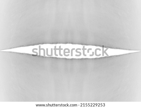 Similar – Image, Stock Photo Tear in the curtain Branch