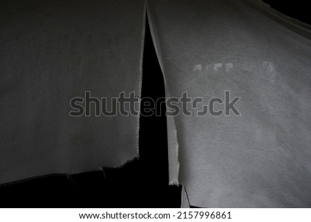 Image, Stock Photo Tear in the curtain Branch