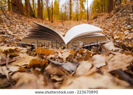 Nature with object Background of opened book with landscape - lying in autumn park on yellow and orange dry leaves on sunset sky and fall forest backdrop Empty copy space for inscription