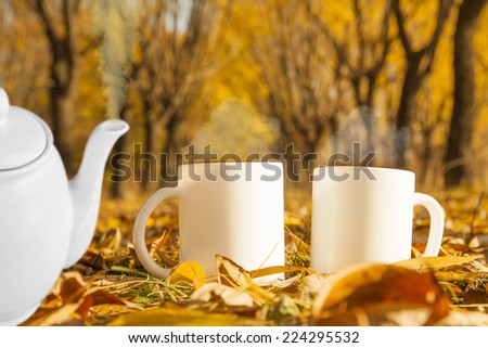 Two white porcelain cup of coffee or herbal tea , autumn fall concept Steam above Couple of mug standing near on dry yellow leaves and green grass on cold land Empty Trees park in perspective