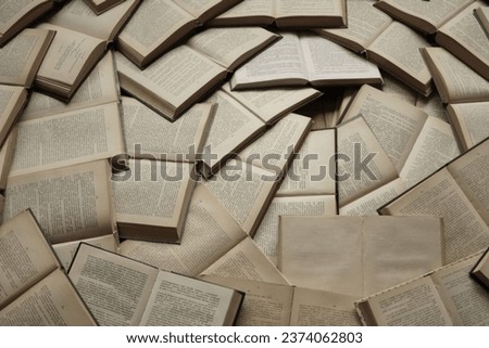 Similar – Image, Stock Photo Pile of books and dried flowers on wooden table