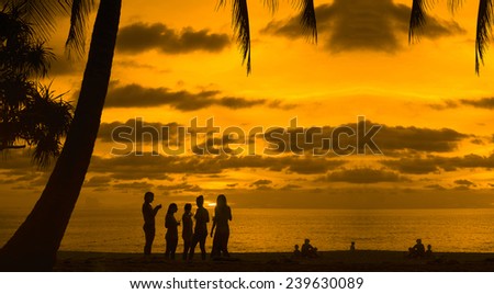 Five friends lesbian girl standing on tropical island enjoying glass wine vine or champagne at sunset sky with dramatic clouds sun rays on background Party team group with alcohol drink Under palm