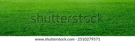 Similar – Image, Stock Photo nature meadow grasses close up with dew drops in the morning mist in black and white