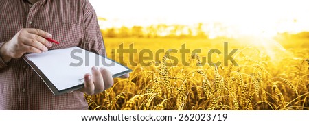 No face Unrecognizable person Businessman hold empty list of paper red pen Business man wear brown shirt Copy space for inscription Experienced agronomist examining wheat grain in field Takes readings