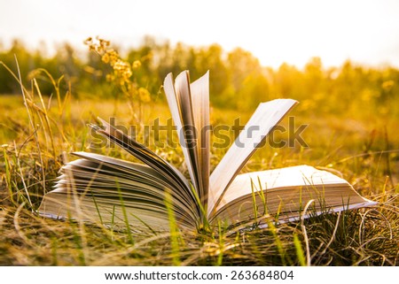 Background of open texture page book with horizon on sunset lying in autumn fall field on dry yellow green fresh grass on sun set sky and spring forest backdrop Idea of back to school, education