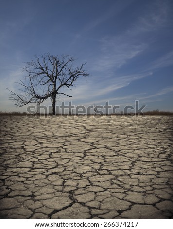 Life ecology solitude concept - lonely dry dead tree on cracked earth in desert with crack land texture soil against sky with clouds Empty concept space for inscription Idea of bad disaster in nature