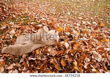 Empty sack on pile of leaves ready for filling