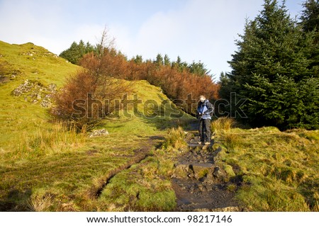 Woman adjusting her kit on a woodland path.
