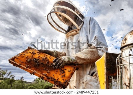 Similar – Foto Bild Imker, der in der Imkerei arbeitet.