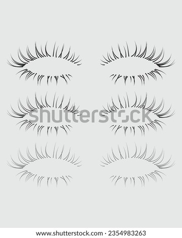 Eyelashes set on white background, girl, salon, vector illustration, mascara, illustration, beauty, eyelash, lash, vector, false, eye, isolated