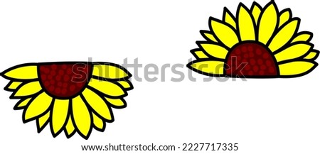 half sunflower isolated ilustration flower