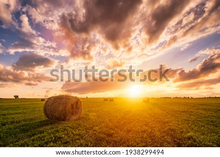 Similar – Image, Stock Photo dry grass Summer grass