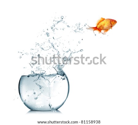 Similar – Foto Bild Fischglas mit Wasserspritzaufschlag