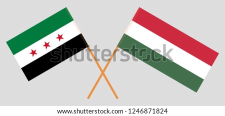Hungary and Syria opposition. The Hungarian and Syrian National Coalition flags. Official proportion. Correct colors. Vector illustration
